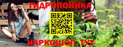 прущая мука Будённовск