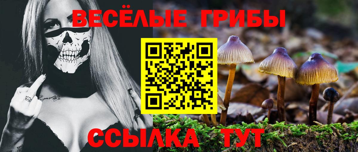 Псилоцибиновые грибы прущие грибы Биробиджан