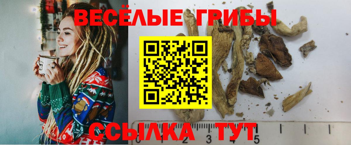 Галлюциногенные грибы ЛСД  Вход с VPN  что такое наркотик  Биробиджан  Галлюциногенные грибы прущие грибы 